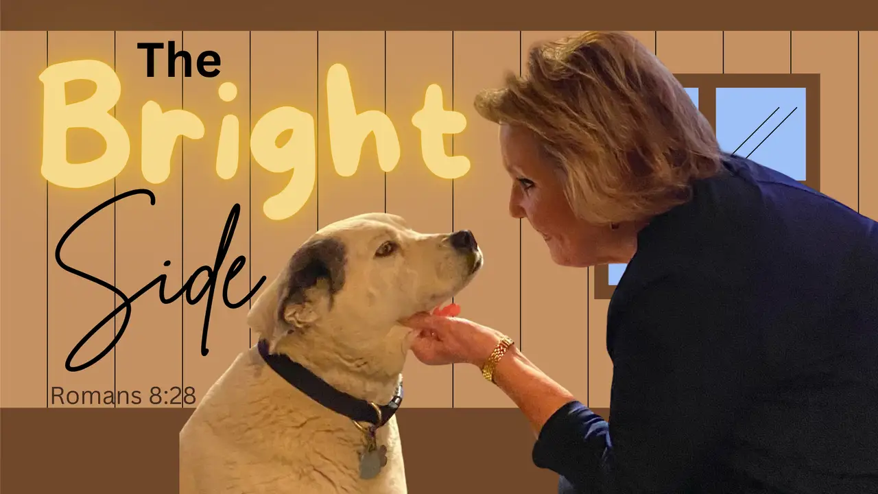 The Bright Side featured image