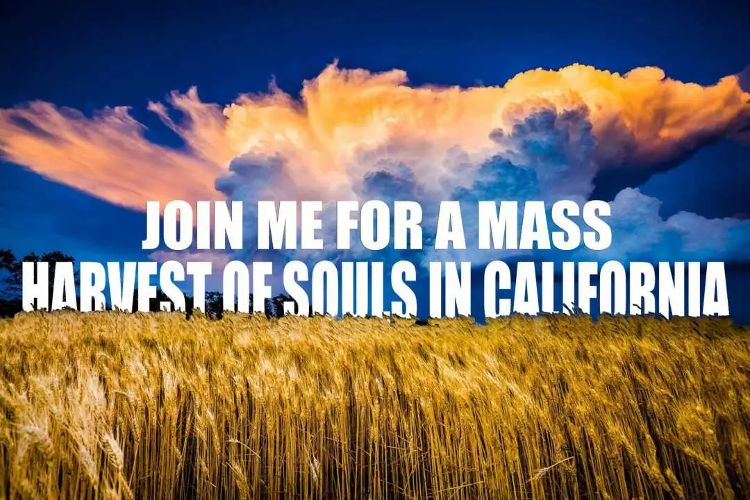 AN OPEN LETTER AND INVITATION featured image