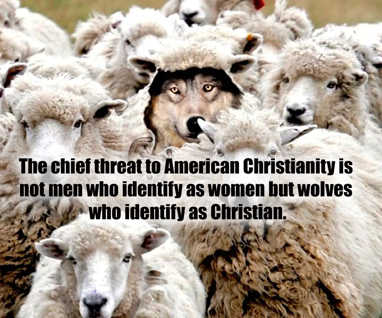 THE CHIEF THREAT TO AMERICAN CHRISTIANITY IS NOT MEN WHO IDENTIFY AS WOMEN BUT WOLVES WHO IDENTIFY AS CHRISTIANS. featured image