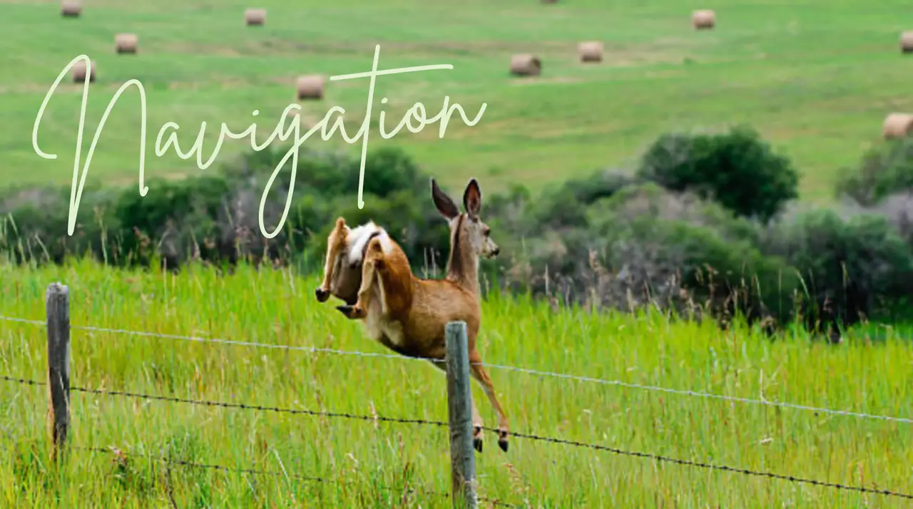 Navigation featured image