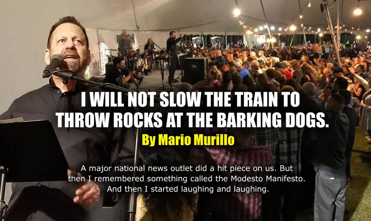 NEVER SLOW THE TRAIN TO THROW ROCKS AT THE BARKING DOGS featured image