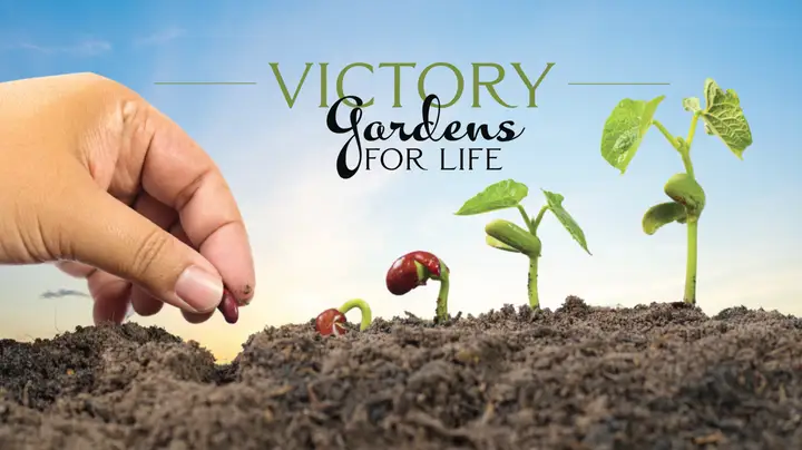 Victory Gardens For Life key art