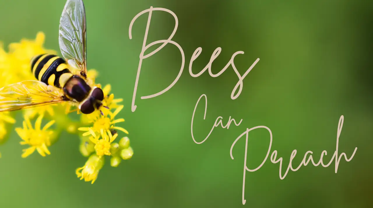 Bees Can Preach featured image