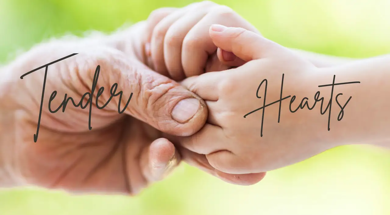 Tender Hearts featured image