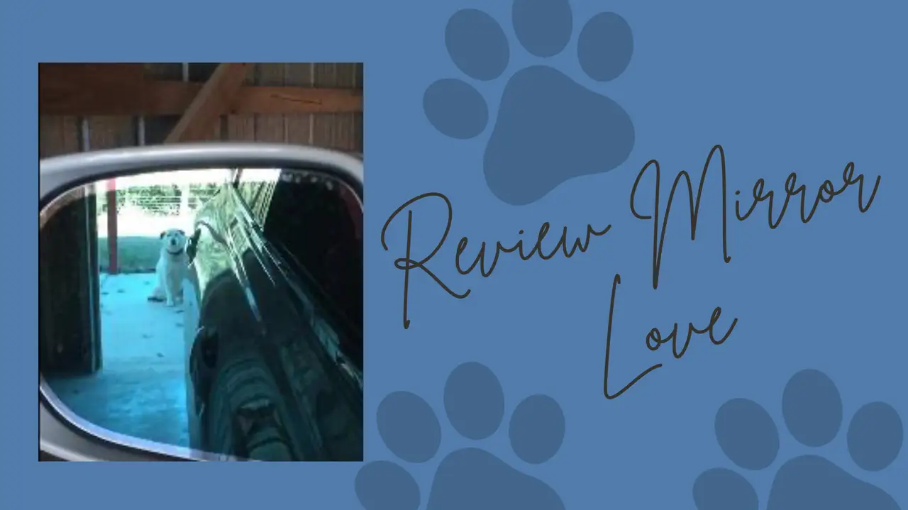 Review Mirror Love featured image