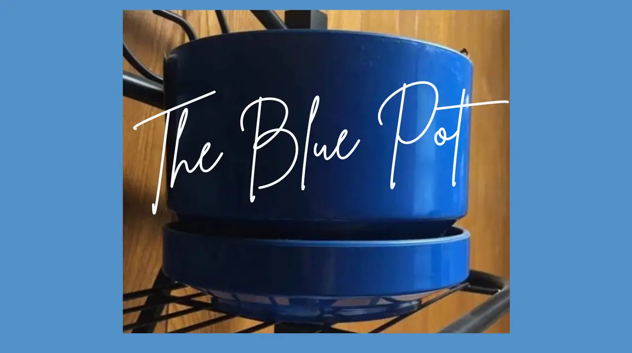 The Blue Pot featured image