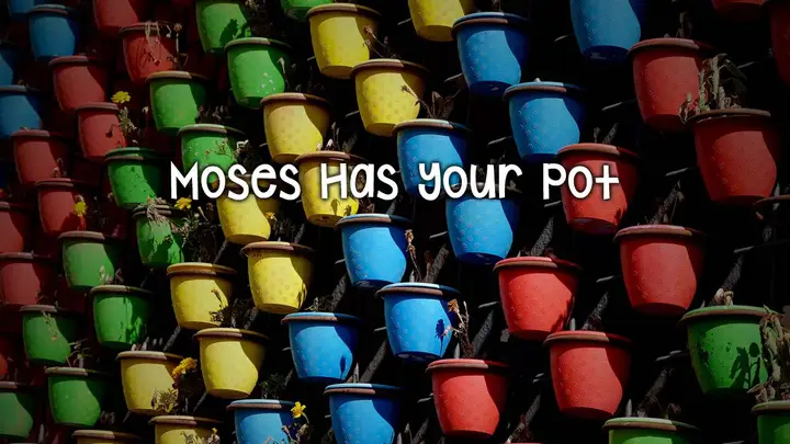 Moses Has Your Pot key art