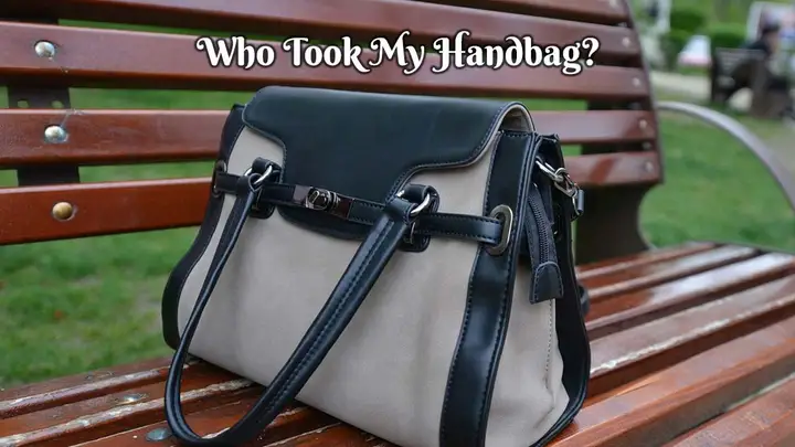 Who Took My Handbag? key art