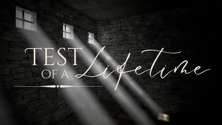 Test of a Lifetime key art