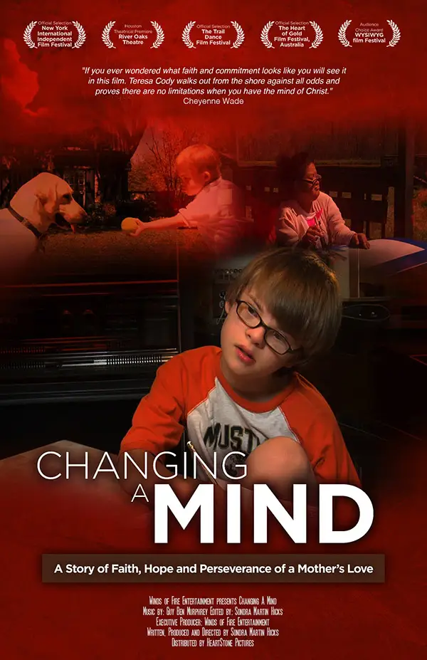Changing a Mind key art